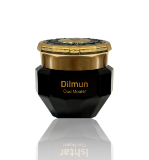 DILMUN-MASALA.png