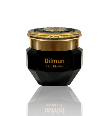 DILMUN-MASALA.png