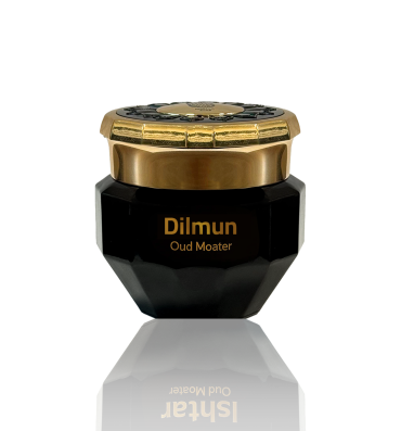DILMUN-MASALA.png